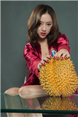 包氏父子